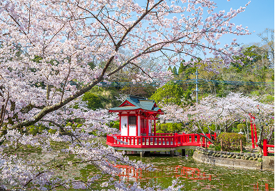 春・夏